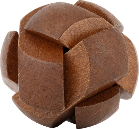 True Genius Lost Treasure Collection - Brain Teaser Puzzles