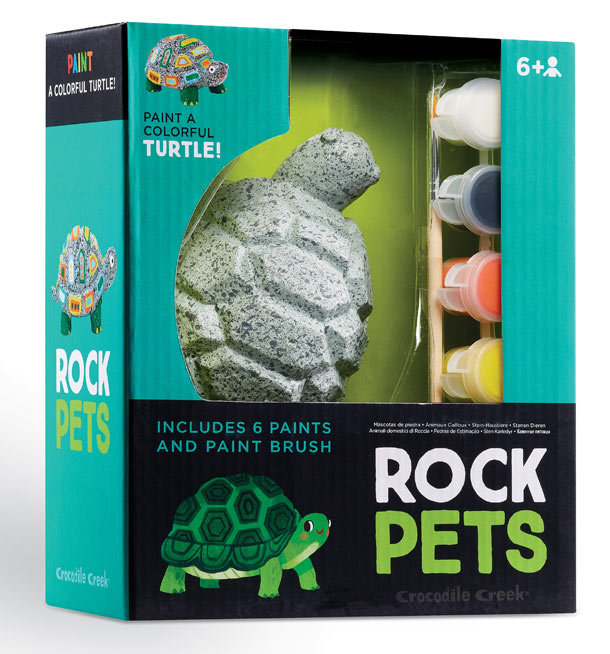 Rock Pets Turtle Kit