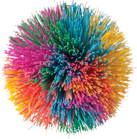 Rainbow Pom Ball 