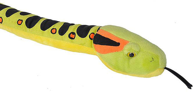 Anaconda Snake - 54"