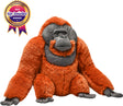 Artist Collection - Male Orangutan