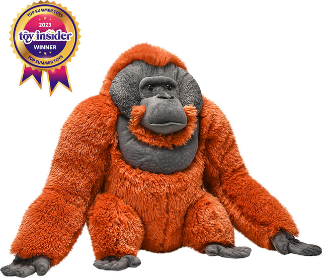 Artist Collection - Male Orangutan